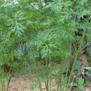 가야농원 이미지