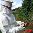 이영우농장 이미지