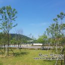 세영 세탁소 이미지