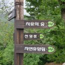 대봉산자연휴양림 이미지