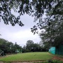 문현4동 체육공원 이미지