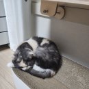 휴식공간 이미지