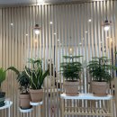 (주)장풍HR - 9800 | (주)장풍HR