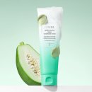 그린파파야 이미지