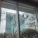 브래서리 이미지