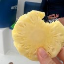 힐탑 | [태국끄라비] 여행 코스 추천 | 아바니 클리프 호텔 + 피피섬 일일투어 + 더 힐탑 레스토랑 후기