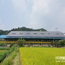 송학태양광발전소 이미지