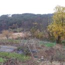 봉전마을 이미지