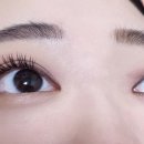 더 새로미샵 이미지