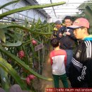 삼성농장 2 이미지