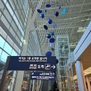 643 | 싱가포르 여행 대한항공 어린이 기내식 간식 후기(KE643)