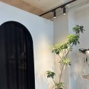 분당-342 이미지