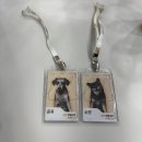 우리키친 | 우리와 펫푸드 키친 공장 투어 후기｜ ANF 무해한 강아지사료는 이렇게 만들어집니다