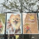 광순빌딩 앞 이미지