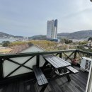 아지랑냉이랑 이미지