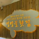 엉덩물 | 중문 횟집 맛집 엉덩물횟집 B코스 모듬회 후기
