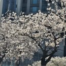 전북유도관 이미지