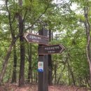 지곡초교 삼거리 이미지