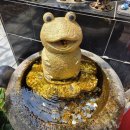 영춘초등학교 이미지