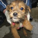 영림축산 이미지