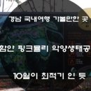 여항산정원펜션 네이버블로그