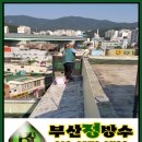 모라명성약국 이미지