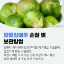으뜸푸드