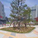 새뜰유치원 이미지