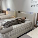 금성결혼정보 | 신혼부부 침대 금성침대에서 혼수침대 맞췄어요( 내돈내산)