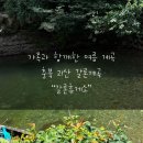 양화정휴게소 앞(간이화장실) | 충북 괴산 갈론계곡 | 갈론휴게소 평상 대여 가족 당일치기 물놀이 후기