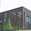 건조창고있는 풍경 이미지