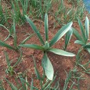 은혜농원 이미지