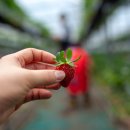 꽃길을 따라서 체험학습장 이미지