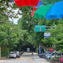 동화마을슈퍼 이미지