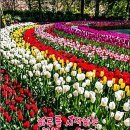 아름답개 이미지