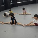 계명대 힘찬 태권스쿨 이미지