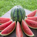 샘양지마을 이미지