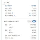 뱅크PC | 발리 여행 준비 여행자보험 가입 마이뱅크 내돈내산 후기(ft.가입방법, 비용)