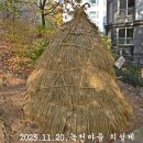 녹천