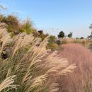 대정목장 이미지