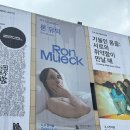 조형조각배 | [현대미술 전시] 론 뮤익展 (Ron Mueck) 전시 후기｜현실보다 더 생생한 감정의 조각들