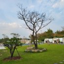 토리글램핑 이미지