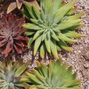 개편한 세상 이미지