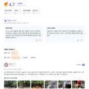 발리 우붓 여행 무조건 해야하는 래프팅 투어 후기