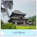 사대천황 | 동대사 도다이지 입장료 후기 오사카 근교 나라 당일치기 여행
