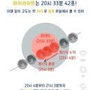 곰아저씨피자 | 1년간 뭘 먹었어? (25.5월~26.4월)