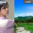 대아골프존 이미지