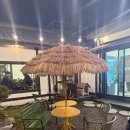 미도리(MIDORI) | 대전역 감성카페 추천 | 미도리컬러(Midori Color) 대전역 근처 카페 후기