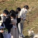 호계고등학교 이미지