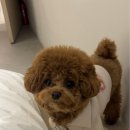 소서제주 7월6일 이미지